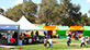 Festival Tent Rental 1