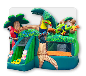 RainForest Kidzone Combo