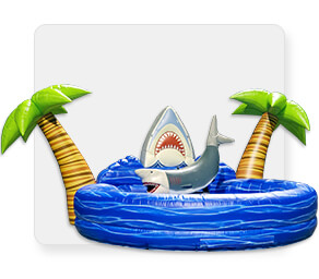 Shark Rider