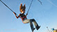 Euro Bungy