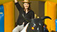 Mechanical Bull