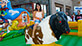 Mechanical Bull