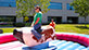 Mechanical Bull