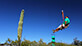 Mobile Zip Line Rentals 6