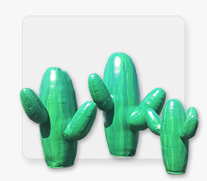 Cactus Props