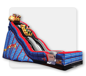Wild One Slide