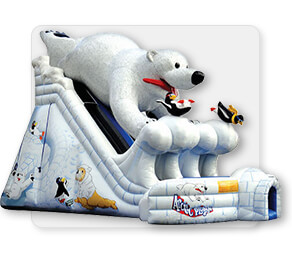Arctic Plunge Slide