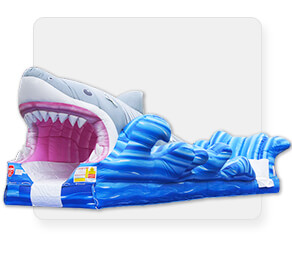 Shark Big Bite Surf & Slide