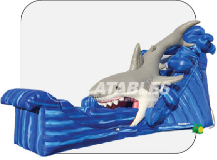 Water Slide Rentals